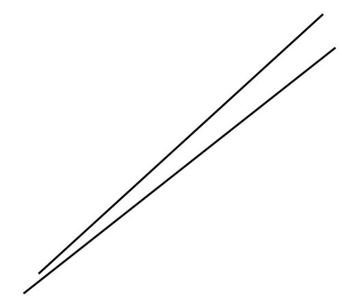 Sillosock glasvezel/carbon staafjes Hypaflap Gans vleugel 2x 46cm