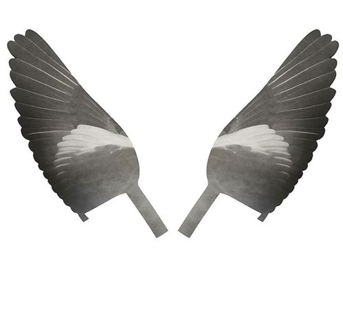 Proflapper set vleugels